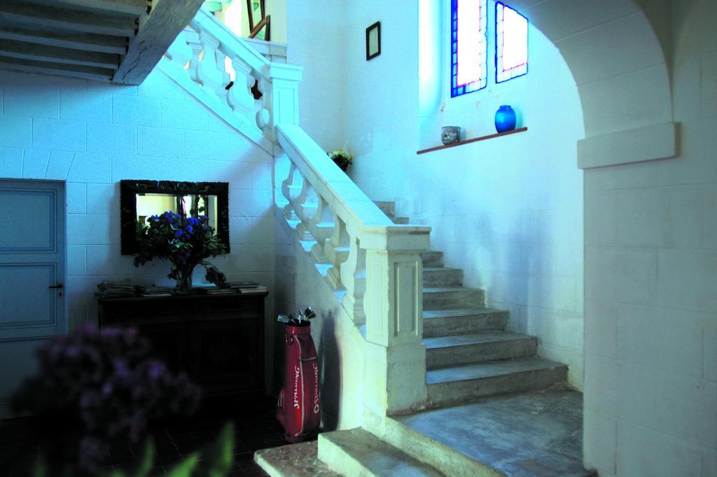 Chateau De La Noblaye Lemere Ngoại thất bức ảnh