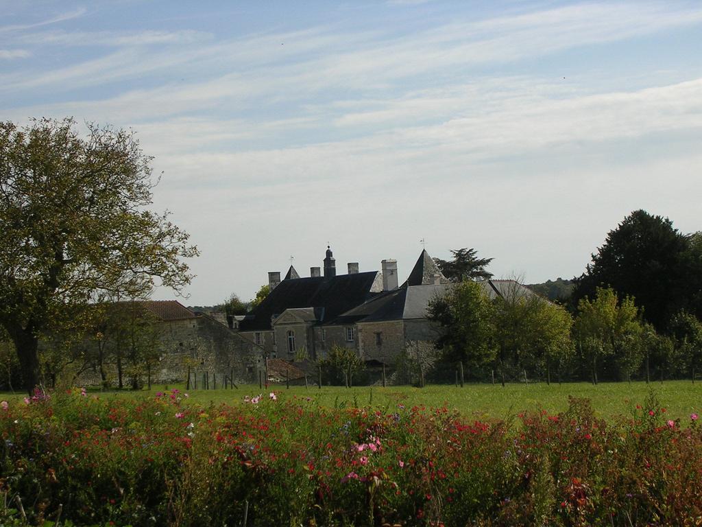 Chateau De La Noblaye Lemere Ngoại thất bức ảnh