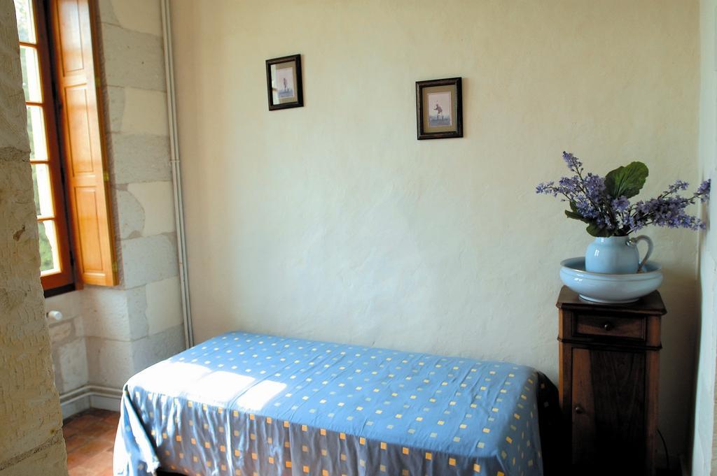 Chateau De La Noblaye Lemere Ngoại thất bức ảnh
